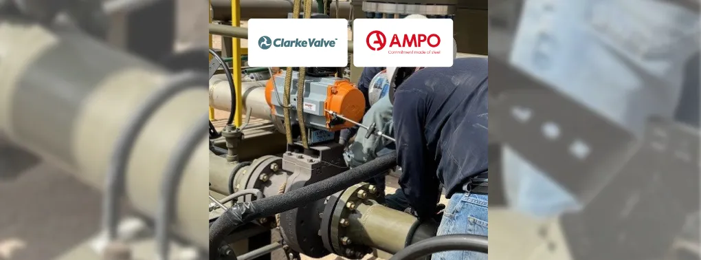 CS-Clarke-Valve-XL_2