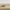 Andium_cs_popup-1